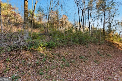 201 Spookhaven Ln, Clarkesville, GA 30523 - photo 3