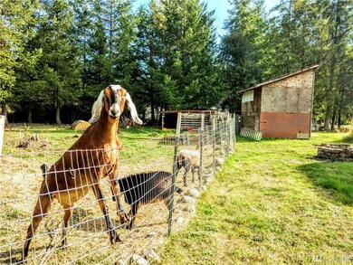 18200 Penn Ln SE, Yelm, WA 98597 - photo 4