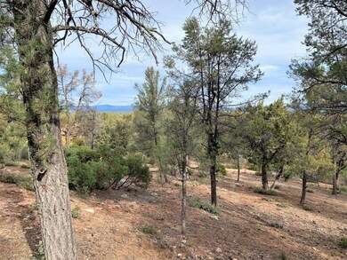 1102 Milk Ranch (5)
