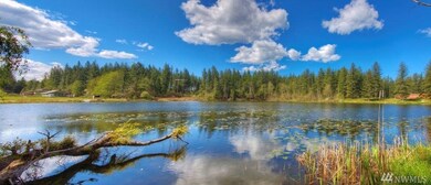 30601 SE 352nd St, Enumclaw, WA 98022 - photo 5