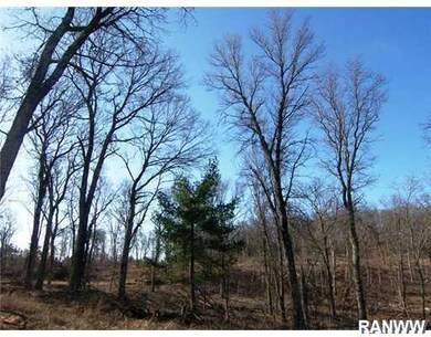 0 Hwy 35 unit 900168, Danbury, WI 54830 - photo 4