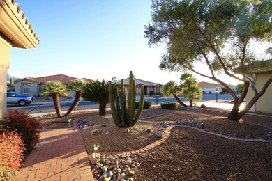 Front Yard desert landscaping