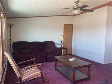 15835 Monte Vista Rd SE, Deming, NM 88030 - photo 5