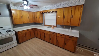 2234 Red Stripe Rd, Odin, IL 62870 - photo 5