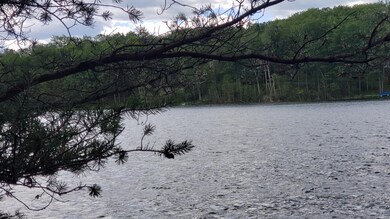 Lakefront view