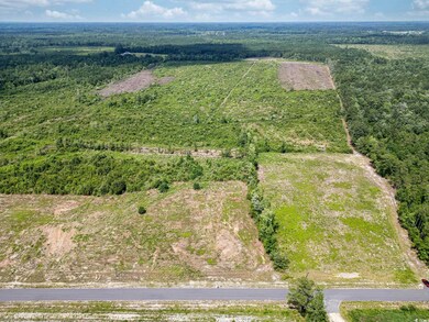 Bird's eye view of a heavily wooded area