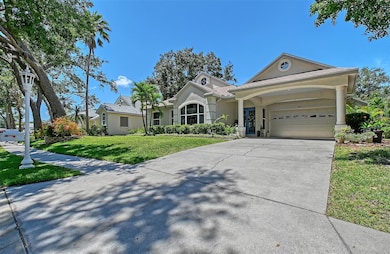 Extended Driveway