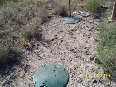 SEPTIC IS IN