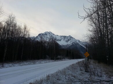 4905 Bodenburg Loop, Butte, AK 99645 - photo 2