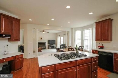 42113 Porch Light Dr, Aldie, VA 20105 - photo 3