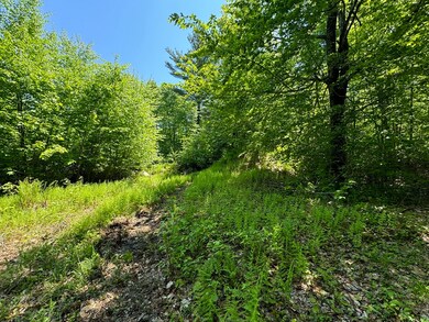 Lot 56.1 Locke Hill Rd, Wendell, MA 01379 - photo 6