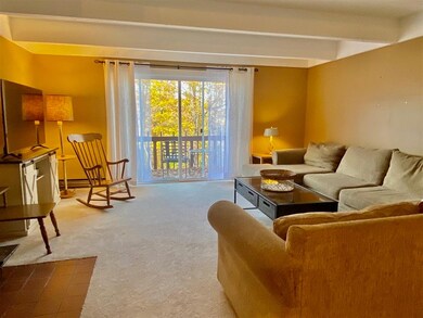 9 Stratton Rd W unit 9, Winhall, VT 05340 - photo 2