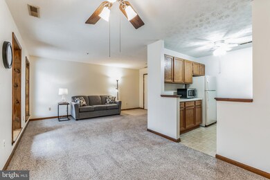 44792 Locust Ridge Ct unit 854, California, MD 20619 - photo 4