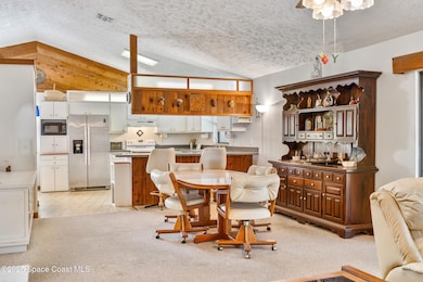 1007 Pineapple Ave NE, Palm Bay, FL 32905 - photo 4