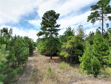 View of local wilderness
