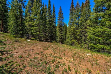 0307 Cr 674 unit 18, Blue River, CO 80424 - photo 4