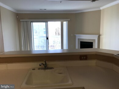 Worldgate Condominium unit 316, Herndon, VA 20170 - photo 4