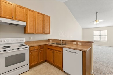 1159 Settlers Landing Dr unit 31, Tappahannock, VA 22560 - photo 4