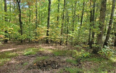 Additional View