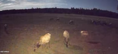 Kelly Canyon Estates -Wildlife