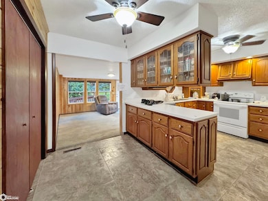 103 Pershing Ave, Lincoln, IA 50652 - photo 3