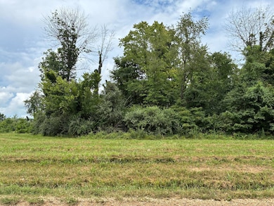 0002 Red Hills Ln, Bridgeport, IL 62417 - photo 5