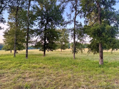 0 Deer Run unit 2532006, Hugo, OK 74756 - photo 3