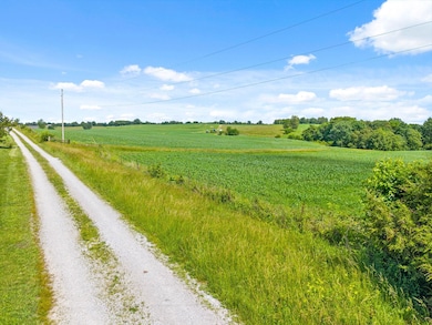 150 Terry Ln, Hopkinsville, KY 42240 - photo 6