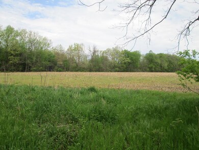 V/L Holden Rd, Glendora, MI 49107 - photo 7