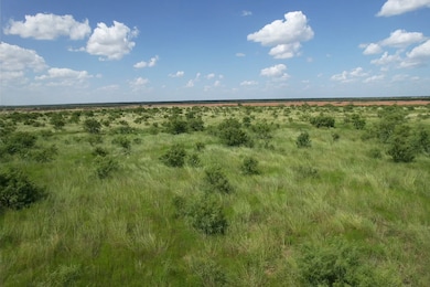 Tract 12 TBD Cr 483, Hawley, TX 79525 - photo 7