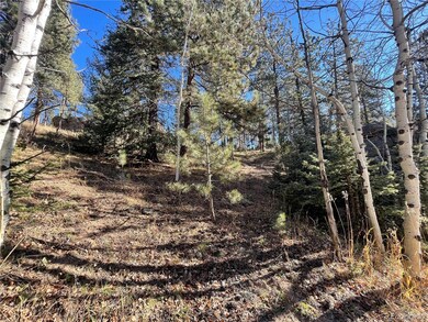 0 Shadow Mountain Dr, Conifer, CO 80433 - photo 7