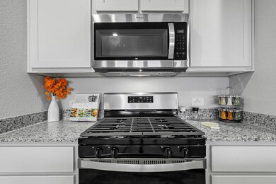 312 Sculptors Crossing, Springtown, TX 76082 - photo 6