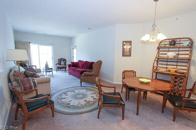 616 Aqua Marine Blvd unit 16, Avon Lake, OH 44012 - photo 7