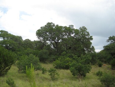 Really Green and Lush!