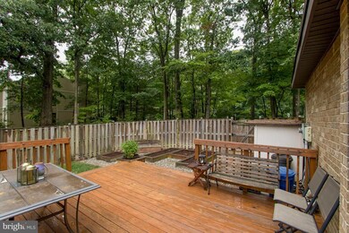 6000 Forrest Hollow Ln, Springfield, VA 22152 - photo 7