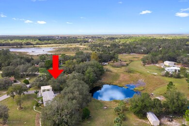 10192 Marengo St, Weeki Wachee, FL 34613 - photo 3