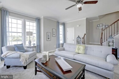 163 Schramm Loop, Stephens City, VA 22655 - photo 3