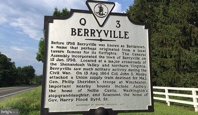 310 Limestone Ct, Boyce, VA 22620 - photo 7