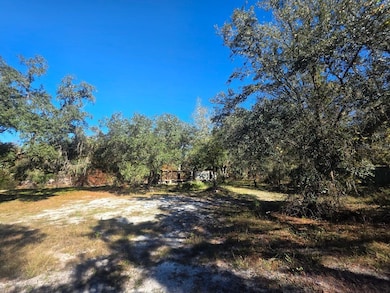 33039 Round Table Rd, Dade City, FL 33523 - photo 2