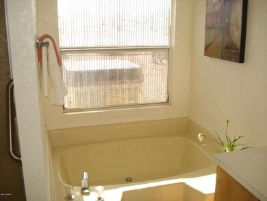 Master Bathroom Tub & Shower Separate