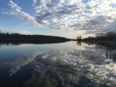 10059 Pocket Pkwy SW, Alexandria, MN 56308 - photo 3