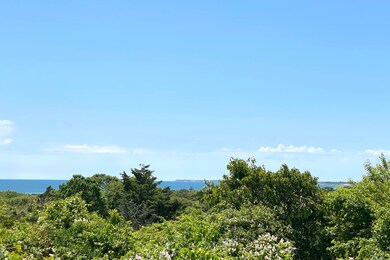 IMG_0711