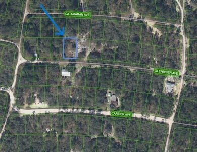 314 Glenbrier Ave, Lake Placid, FL 33852 - photo 2