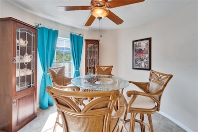 360 N Bayshore Blvd unit 207, Clearwater, FL 33759 - photo 5