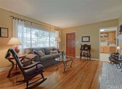 Guests Are Greeted into Living Room