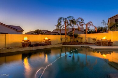 Swimming pool w/water & fire features