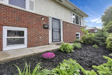 3-web-or-mls-939A8250