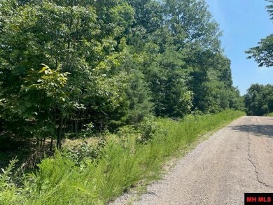 3721 Thousand Oaks Dr, Yellville, AR 72687 - photo 5