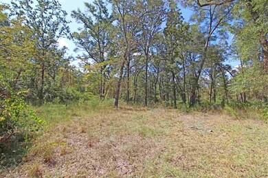 0 Shadeville Rd, Crawfordville, FL 32327 - photo 4