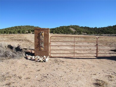 4307 Beekman Rd, Fort Garland, CO 81133 - photo 3